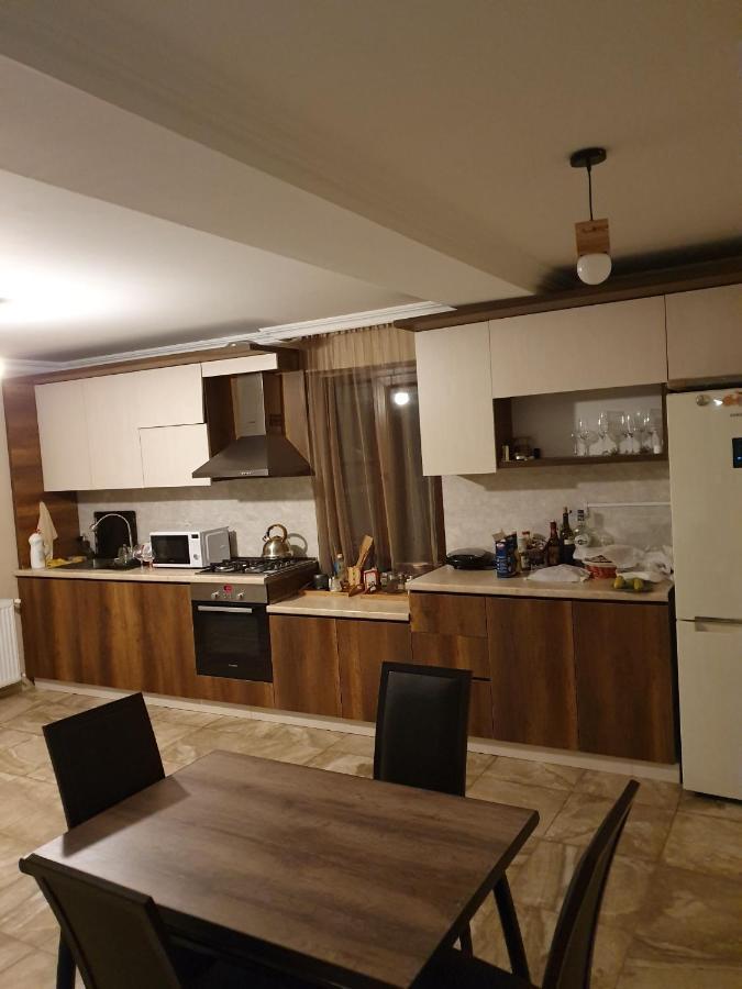 Apartment Nikolo カズベギ エクステリア 写真