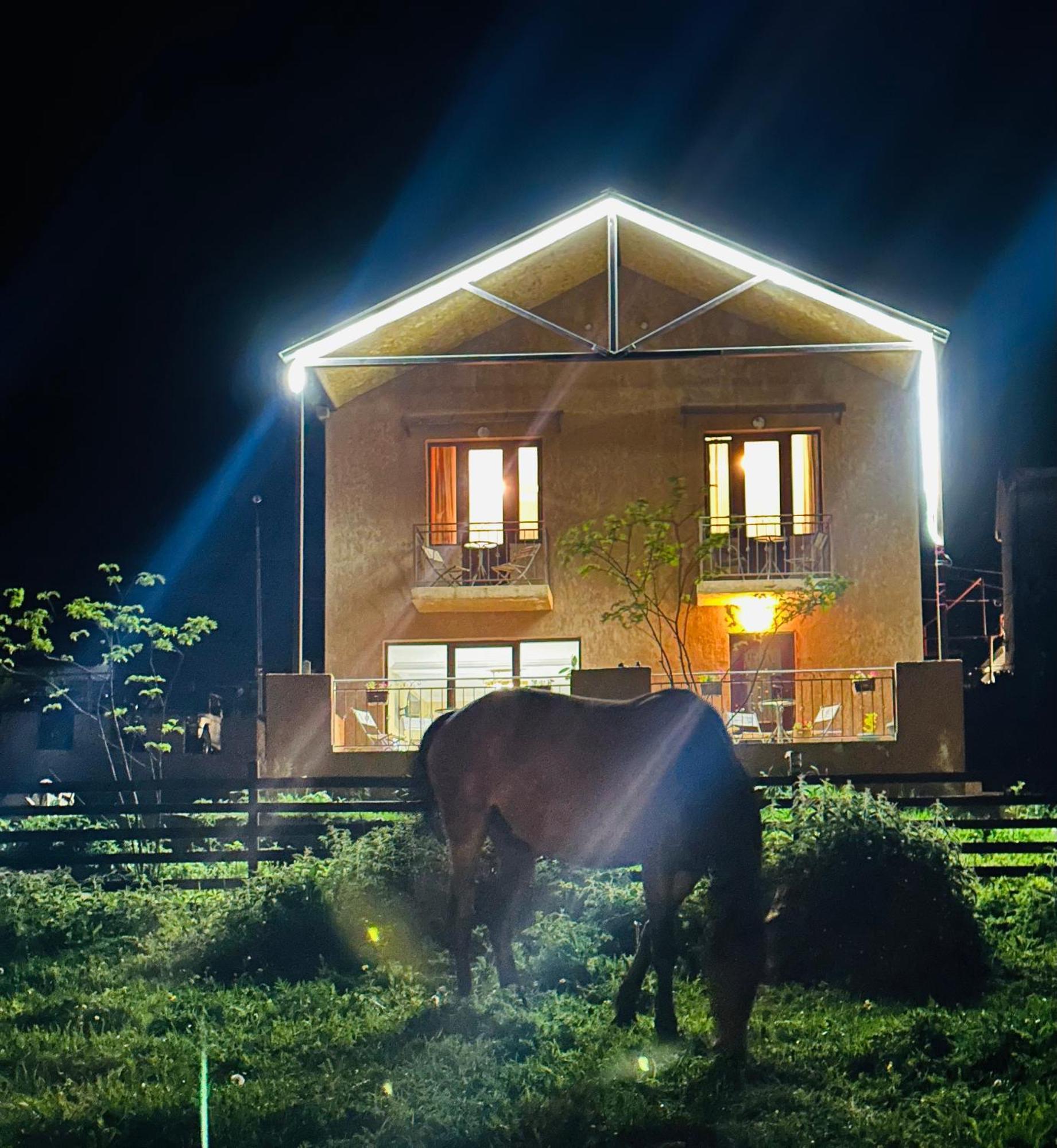 Apartment Nikolo カズベギ エクステリア 写真